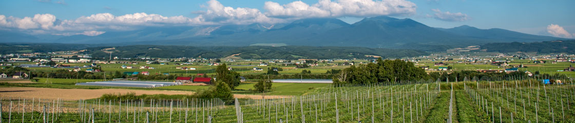 中富良野町の展望