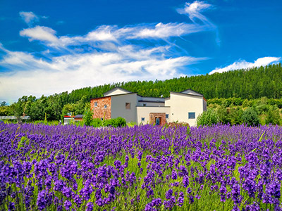 中富良野エルバステラ